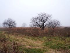 -大九湖