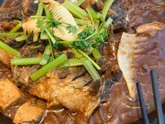 -老板恋上鱼(恒隆广场店)