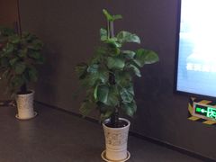 -沃美影城焕影岛LED/中国巨幕(万象汇店)