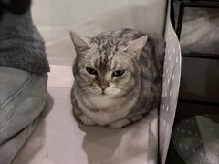 -小时光咖啡馆(北锣鼓巷店)
