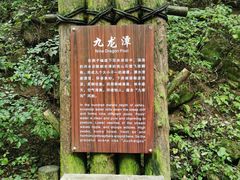 -少华山国家森林公园