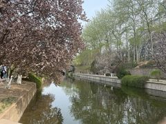 -元大都城垣遗址公园