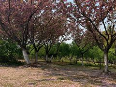 -白塘生态植物园