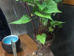 -十二舍·湯物素煮(江泰潤政店)