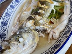 清蒸白水鱼-洞天食府(北大街店)