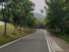 -南京市江宁方山