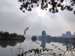 -眉山湿地公园(东坡区)