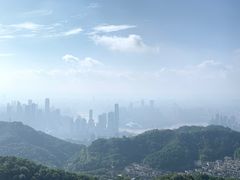 -大金鹰园