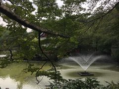 景点-井之头恩赐公园