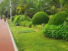 -北外滩滨江绿地