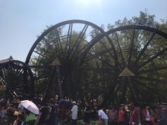 -呀路古热带植物园