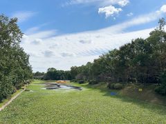 -上海海湾国家森林公园