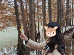 -桤木河湿地公园