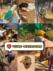 -酷嗒动物文化乐园(cutezoo西溪乐天城店)