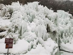 -黑龙潭风景区