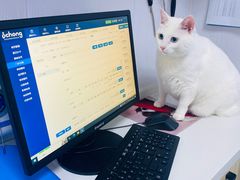 -泰康动物医院·猫科中心·外科中心(塘沽店)