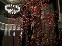 -成都安仁福朋喜来登酒店