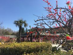 -华山御温泉度假村