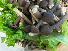 -王奋斗贵州酸汤牛肉火锅