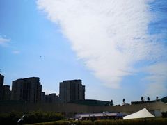 -新江湾城公园