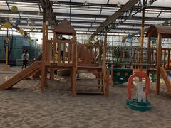 -南宫五洲植物乐园