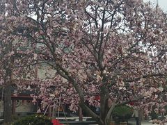 -浙江省博物馆(孤山馆区)