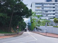 -大埔公路-马料水段香港中文大学(公交站)