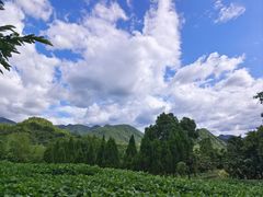-绩溪龙川景区