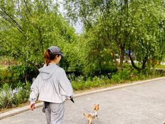 -前小桔亲子创意农场·草莓采摘·露营烧烤