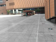 -中国宋庆龄青少年科技文化交流中心