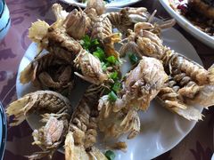 -晓琦农家菜馆·地道农家菜