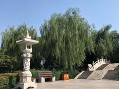 -西安青龙寺遗址景区