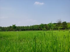 -宜兴龙背山森林公园