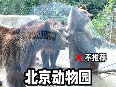 -北京动物园