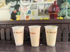 -猫的魔法密林(衣裳街店)
