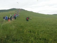 -塞罕坝国家级自然保护区