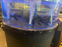 -皇厨荣升名厨家宴.赣州客家菜(金鹏怡和园店)