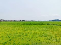 -崖口煲仔饭