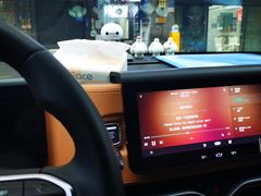 -靓车会汽车贴膜(双楠店)