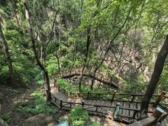 -大岭沟猕猴桃谷风景区