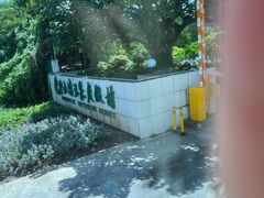-碧水湾温泉