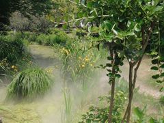 -武汉紫薇都市田园