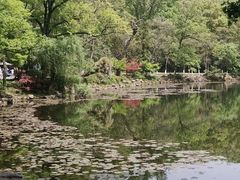 -灵谷景区