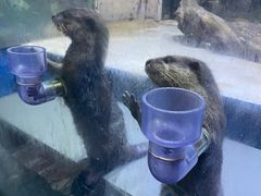 -华夏文旅海洋公园