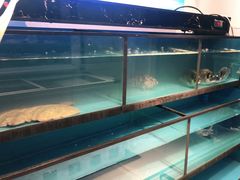 -碧海银沙海鲜餐厅(恒大海上威尼斯店)