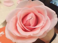 -富力丽思卡尔顿酒店·丽轩中餐厅