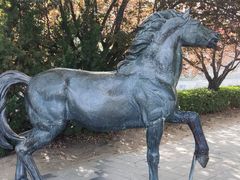 -元大都城垣遗址公园