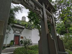 -深圳国际园林花卉博览园