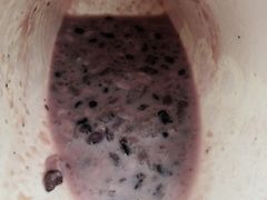 -1828王老吉·草本新茶(珠江新城地铁站店)