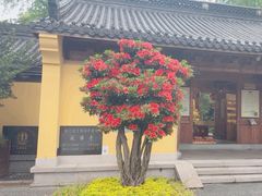 -衣裳街历史文化街区